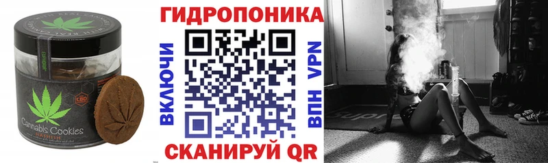 OMG вход  дарнет шоп  Кораблино  Печенье с ТГК марихуана 