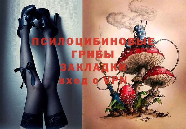 трава Алексин