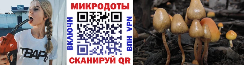 цена   Кораблино  даркнет формула  Псилоцибиновые грибы MAGIC MUSHROOMS 