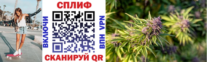 Конопля Amnesia  купить закладку  Кораблино 
